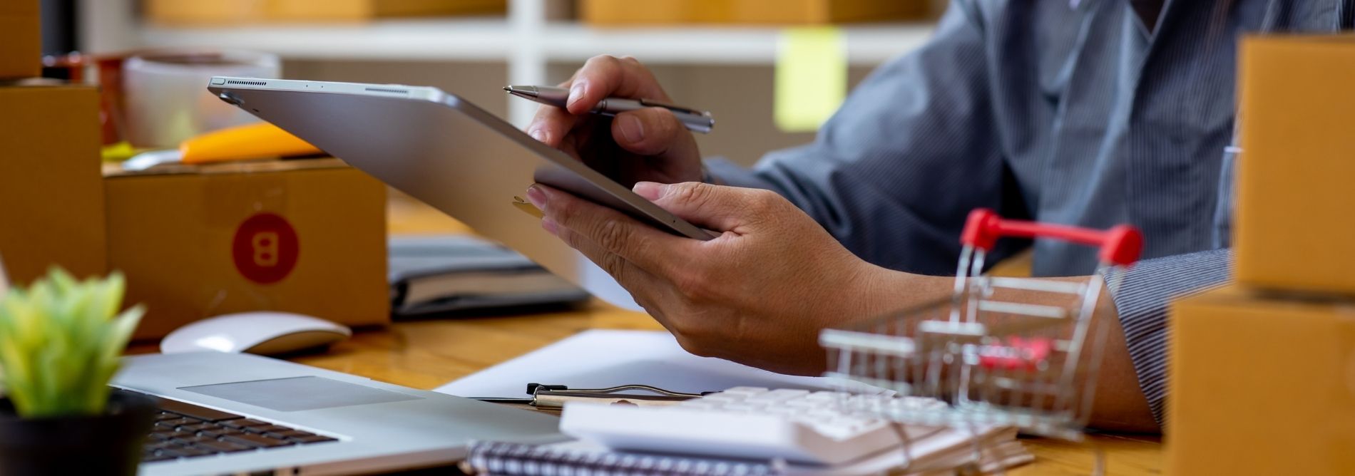 Seguros esenciales para proteger tu PYME en México